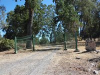 10006 Wendell Road, Mountain Ranch, CA 95246