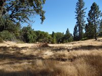 10006 Wendell Road, Mountain Ranch, CA 95246