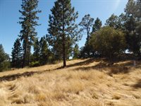 10006 Wendell Road, Mountain Ranch, CA 95246