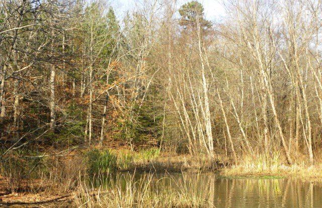 Lot 3 Portside Lane, Bracey, VA 23919