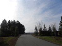 Lot 3 Portside Lane, Bracey, VA 23919