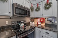 21 Trumpet View, Elgin, SC 29045