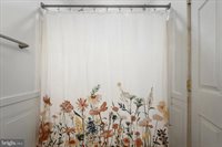 557 Ash Street, Strasburg, VA 22657