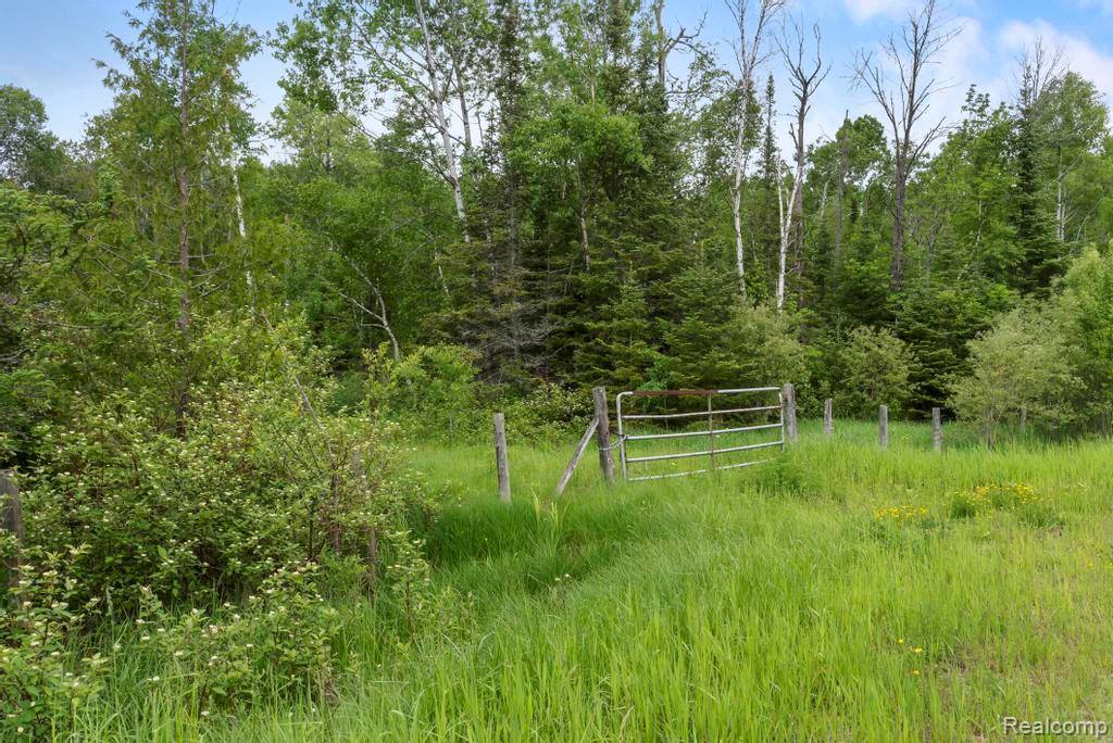 18031 State Highway M28, NewberryVillage_Luce, MI 49868