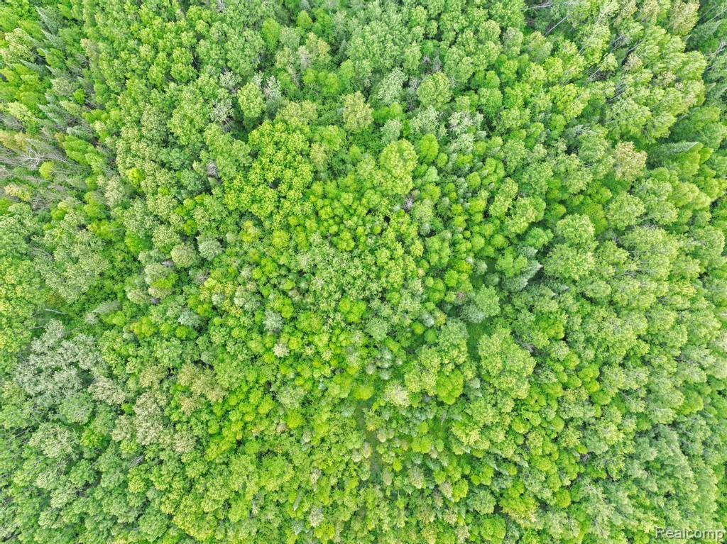 18031 State Highway M28, NewberryVillage_Luce, MI 49868