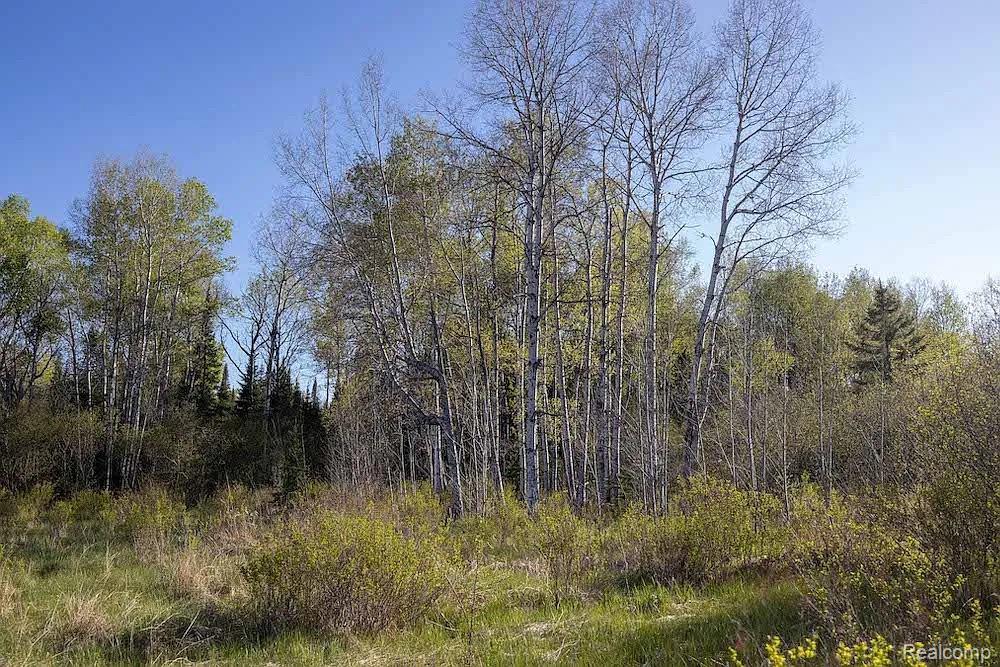 18031 State Highway M28, NewberryVillage_Luce, MI 49868