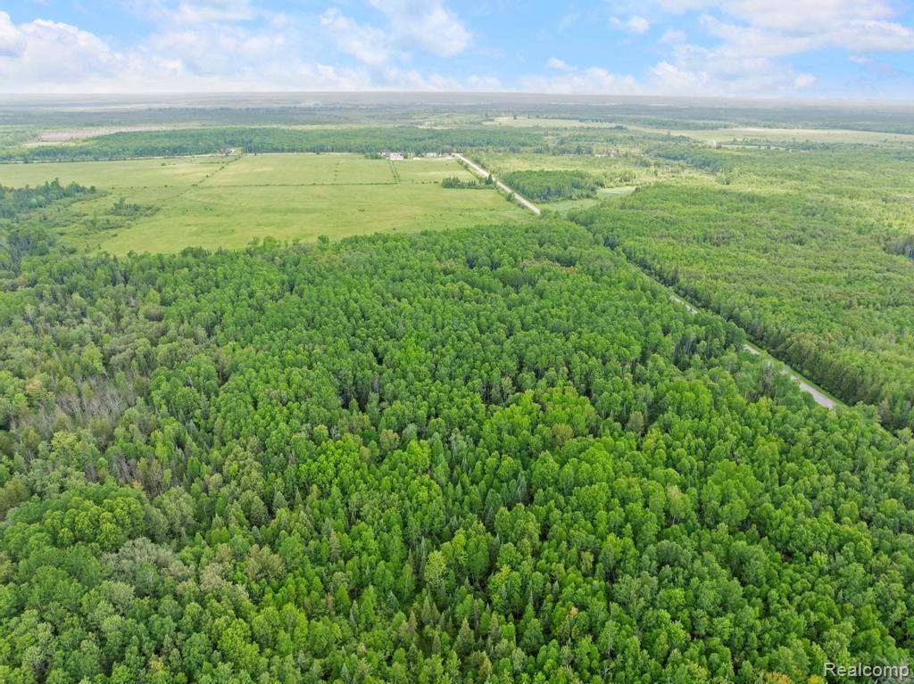 18031 State Highway M28, NewberryVillage_Luce, MI 49868