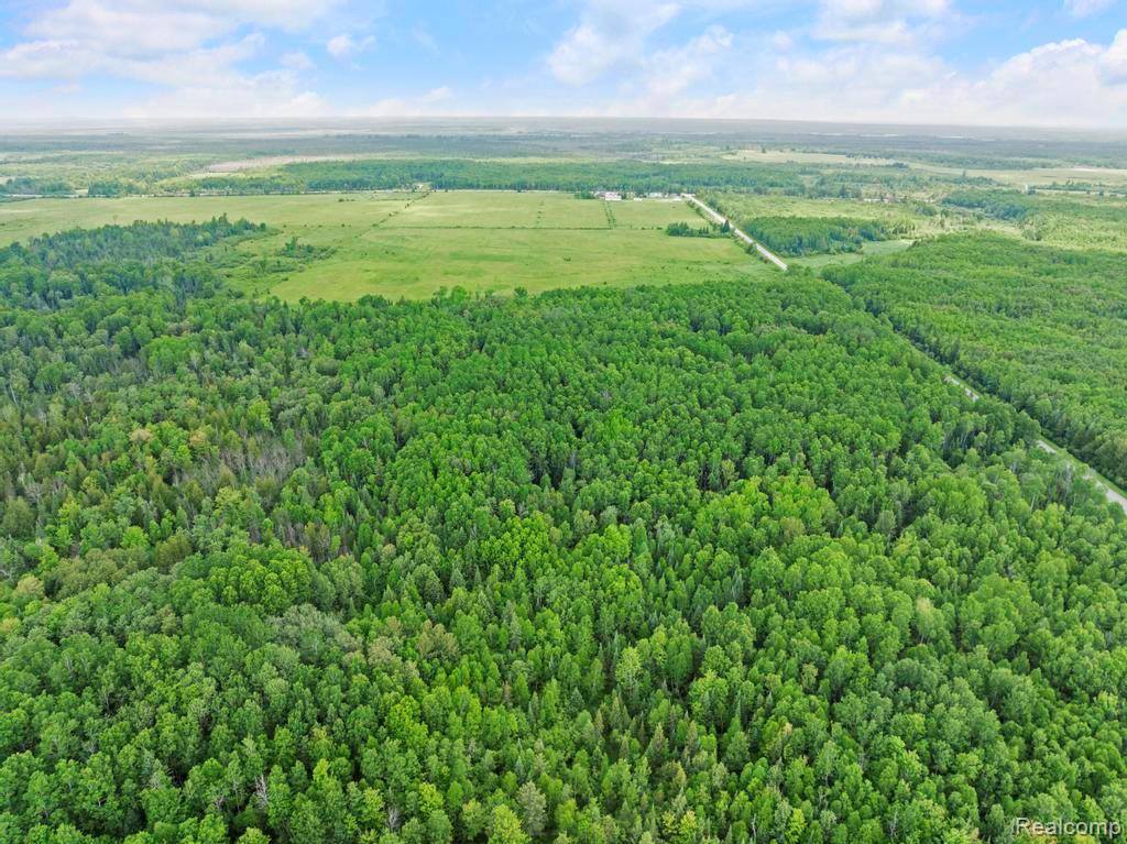 18031 State Highway M28, NewberryVillage_Luce, MI 49868