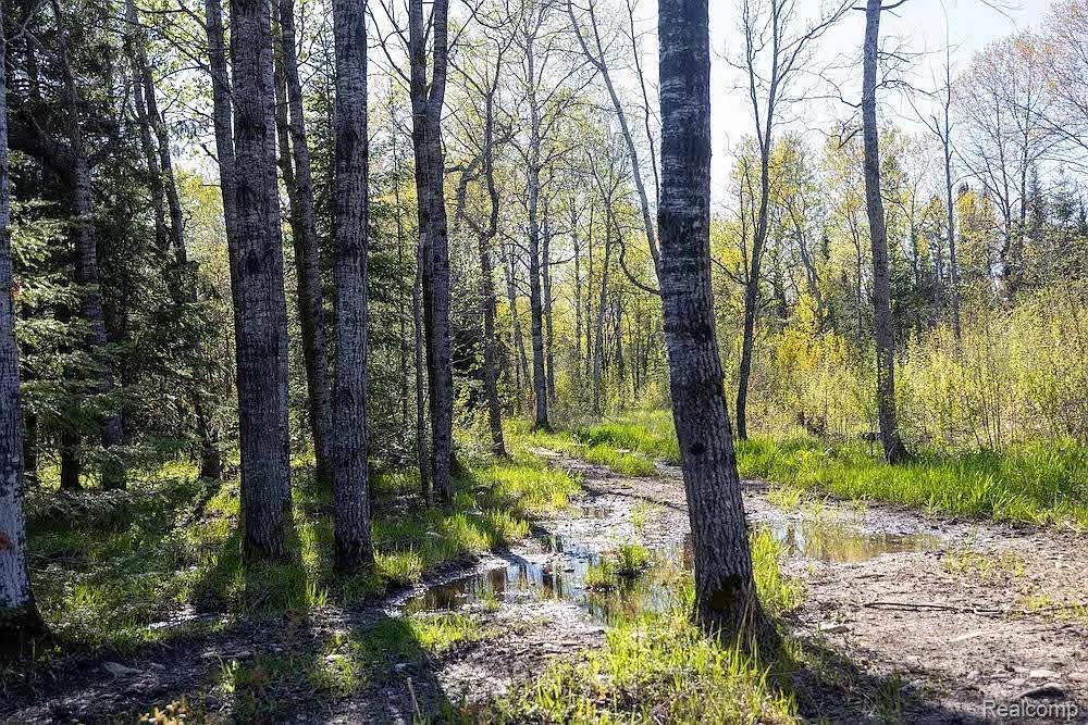 18031 State Highway M28, NewberryVillage_Luce, MI 49868