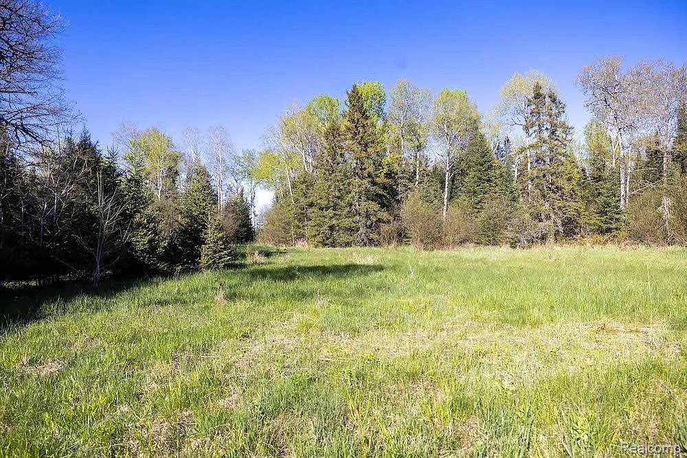 18031 State Highway M28, NewberryVillage_Luce, MI 49868