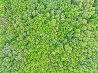 18031 State Highway M28, NewberryVillage_Luce, MI 49868