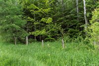 18031 State Highway M28, NewberryVillage_Luce, MI 49868