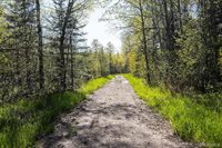 18031 State Highway M28, NewberryVillage_Luce, MI 49868