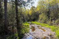 18031 State Highway M28, NewberryVillage_Luce, MI 49868