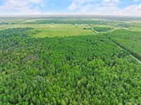 18031 State Highway M28, NewberryVillage_Luce, MI 49868