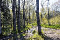 18031 State Highway M28, NewberryVillage_Luce, MI 49868