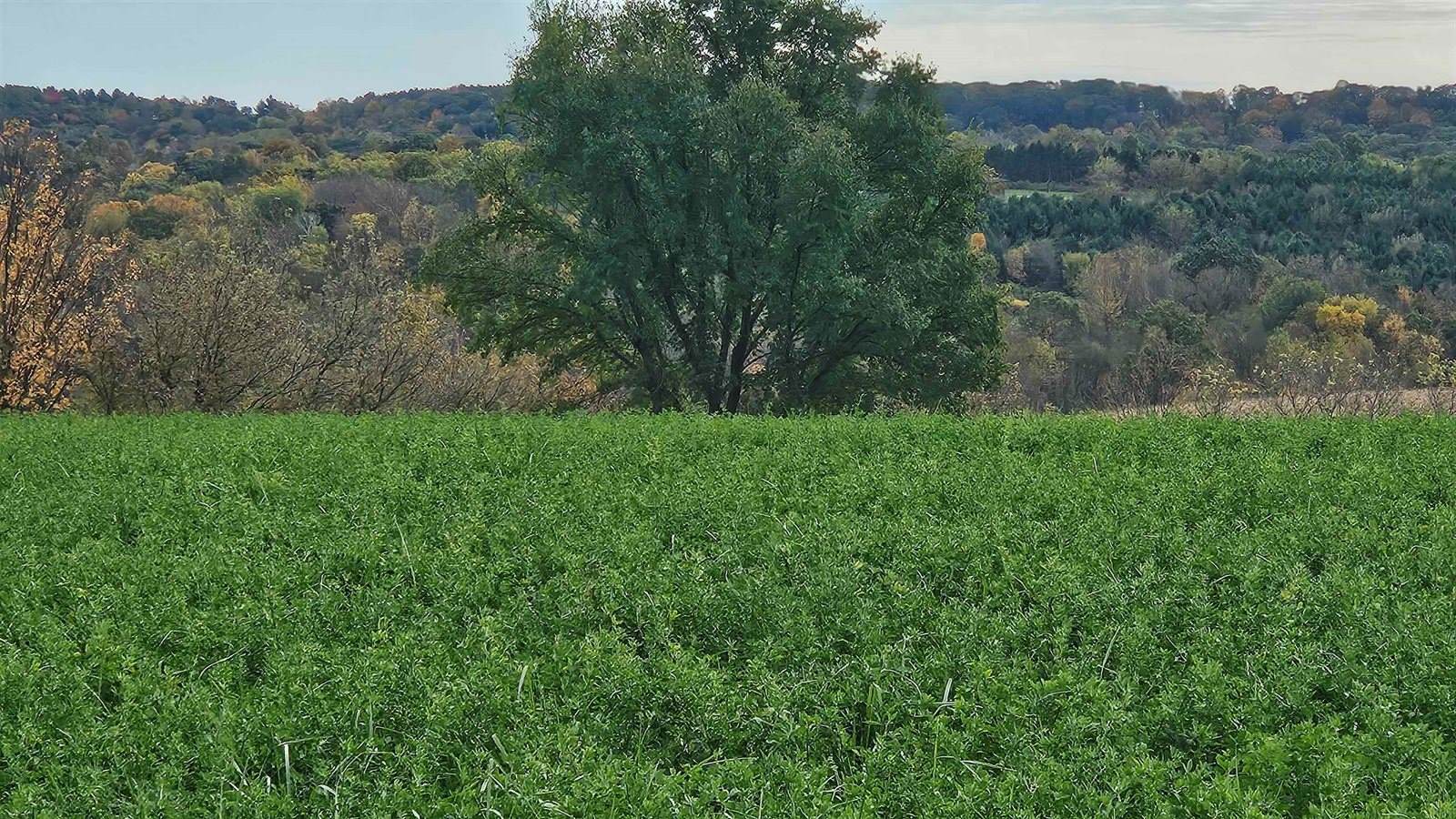 5 acres La Valle, La Valle, WI 53941