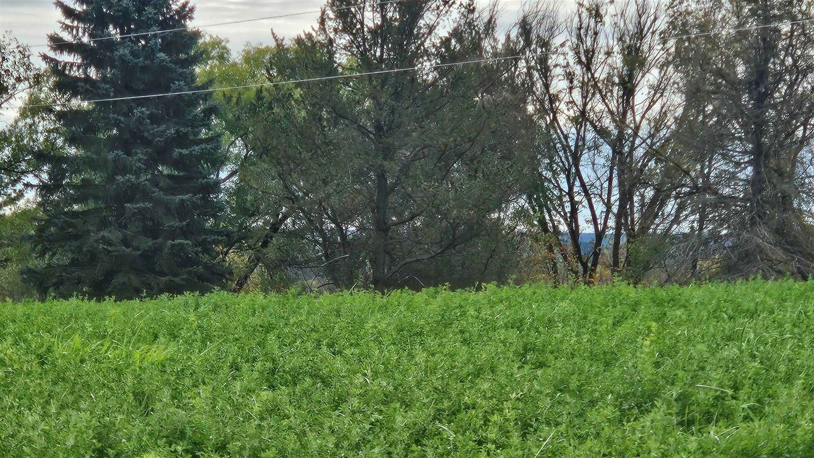 5 acres La Valle, La Valle, WI 53941