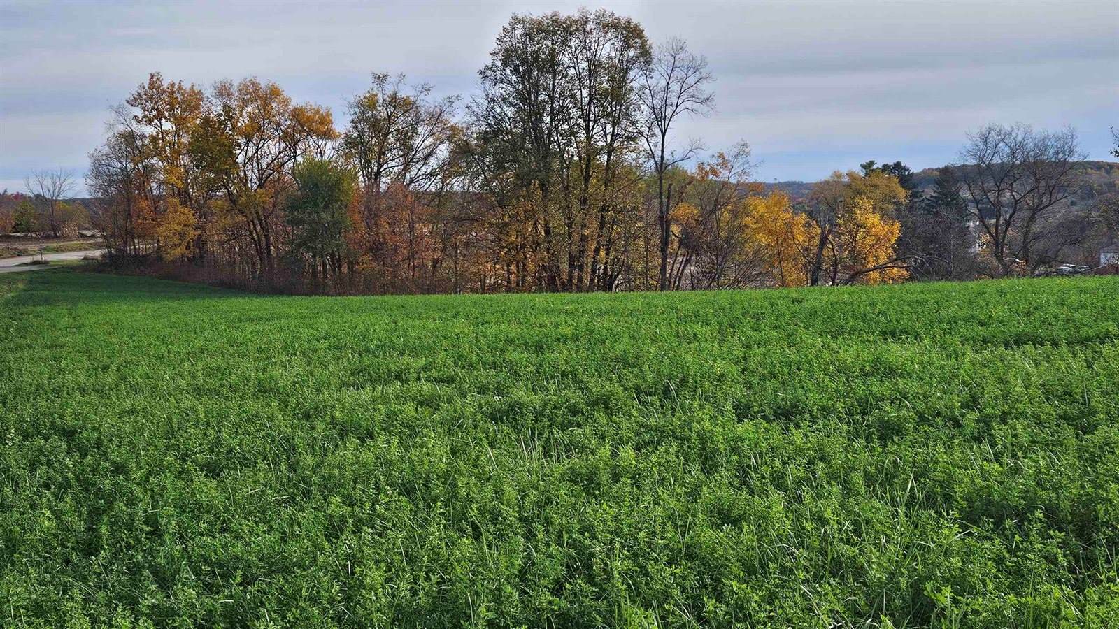 5 acres La Valle, La Valle, WI 53941