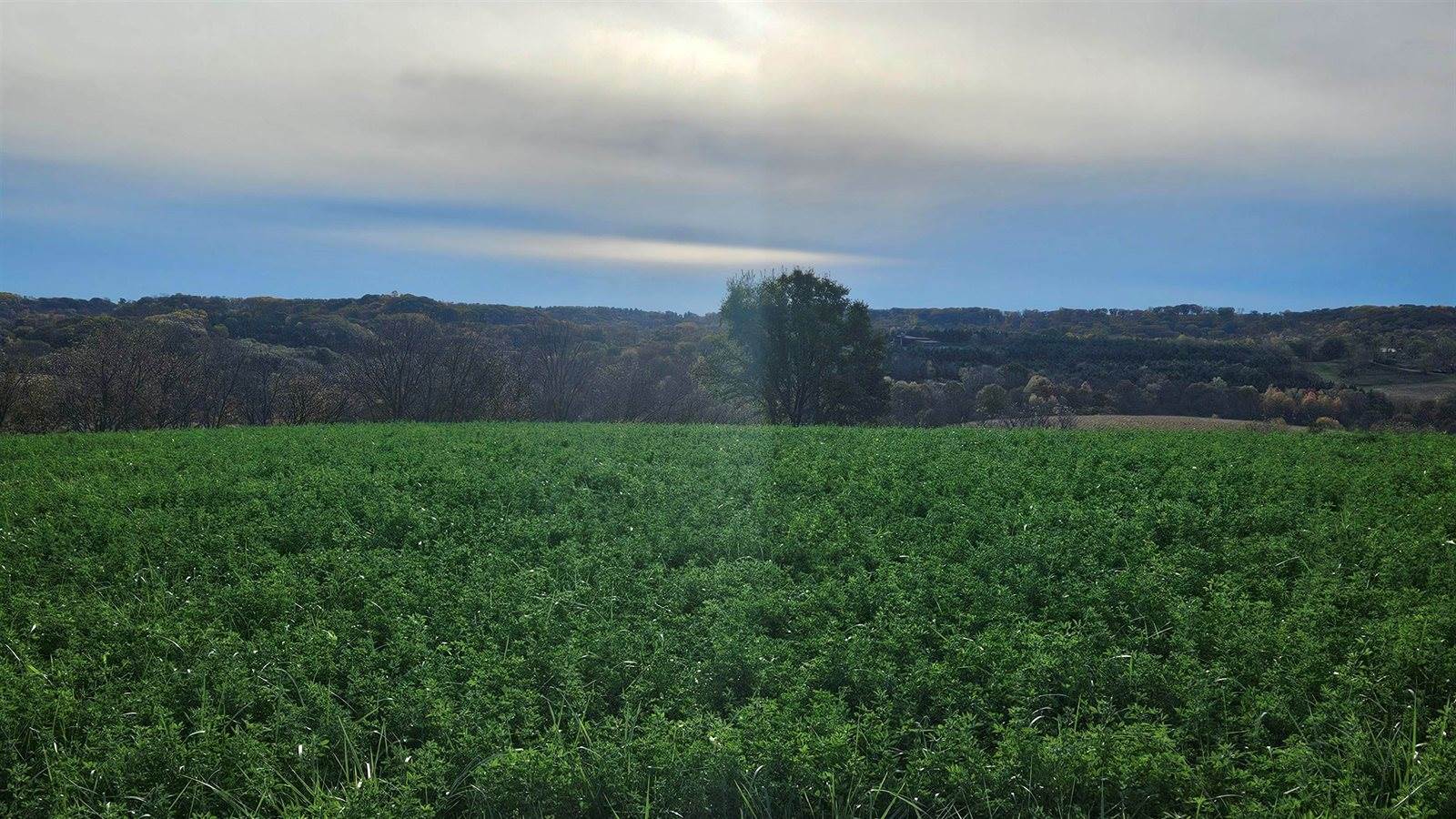 5 acres La Valle, La Valle, WI 53941