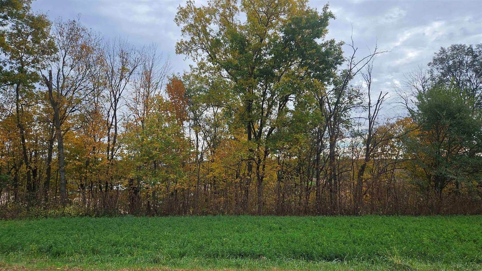 5 acres La Valle, La Valle, WI 53941