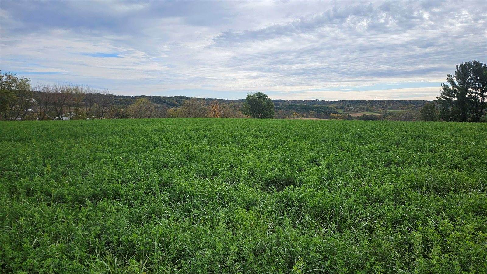 5 acres La Valle, La Valle, WI 53941