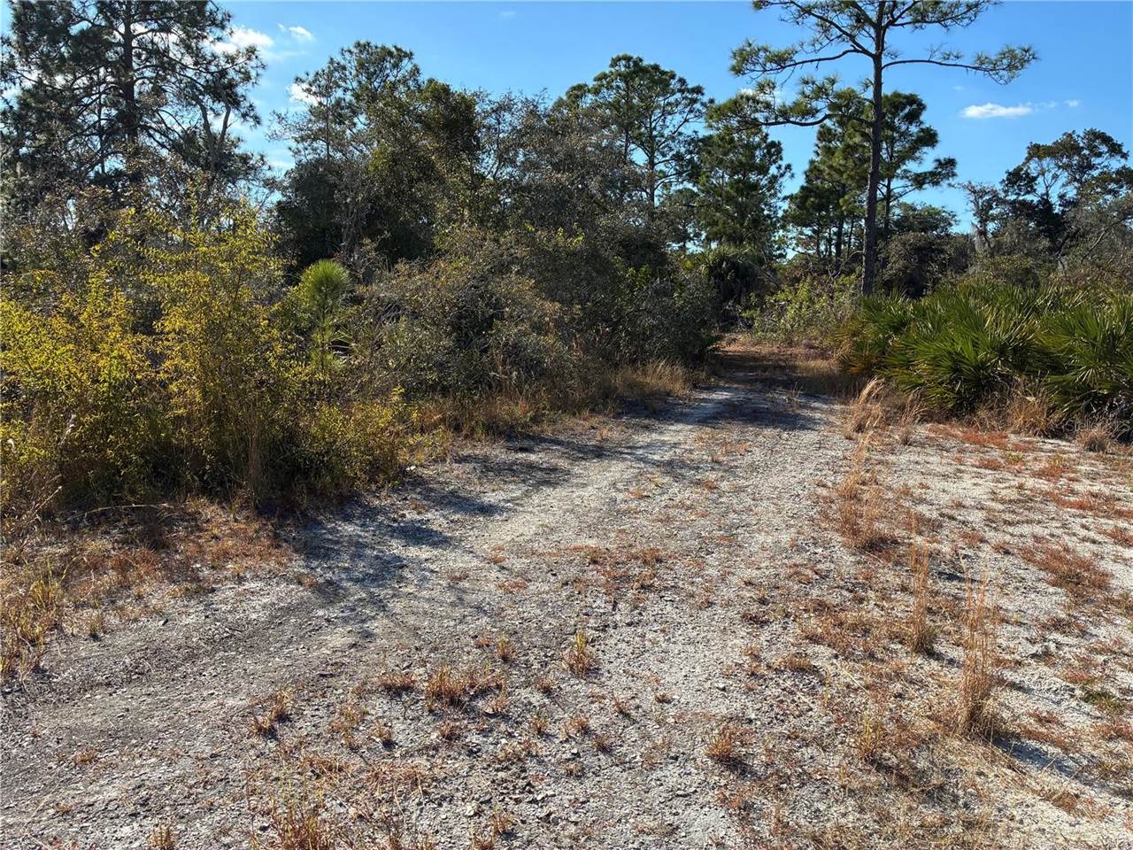 321 Showboat Avenue, Lake Placid, FL 33852