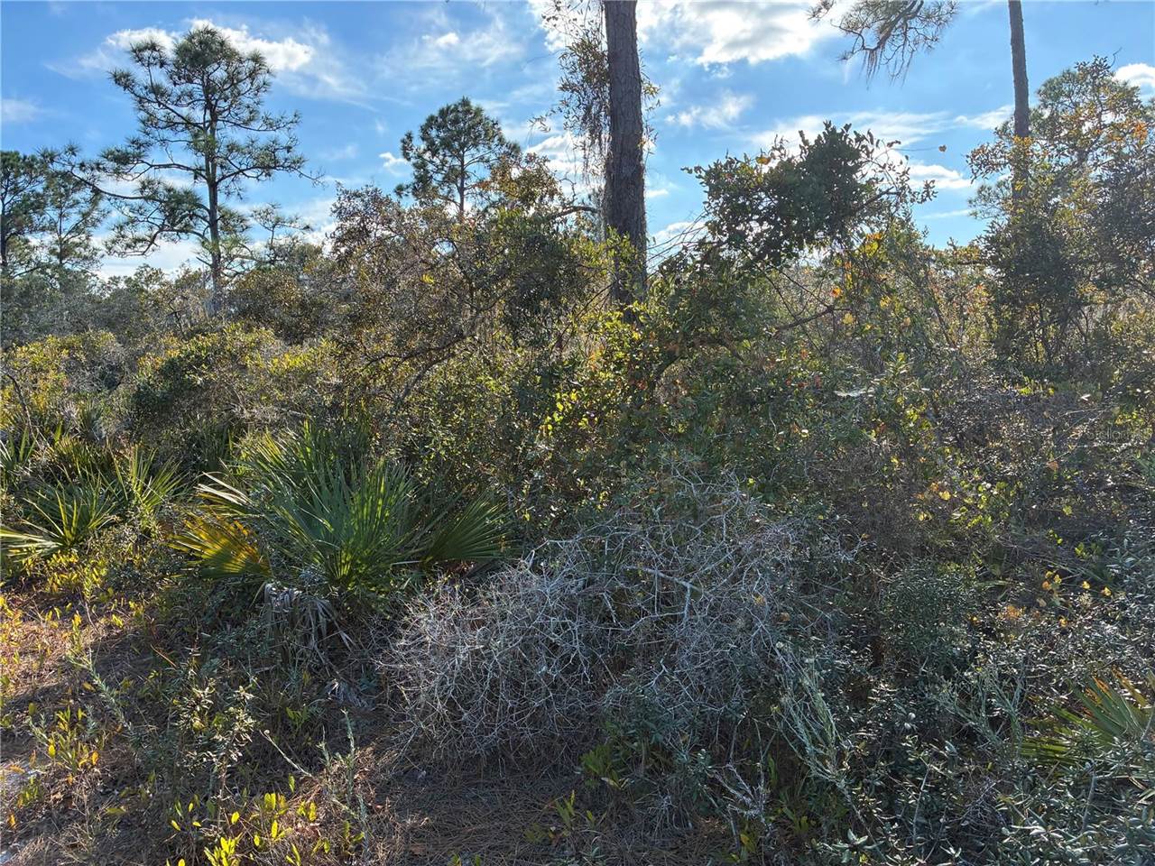 321 Showboat Avenue, Lake Placid, FL 33852