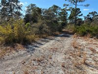 321 Showboat Avenue, Lake Placid, FL 33852