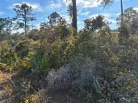 321 Showboat Avenue, Lake Placid, FL 33852