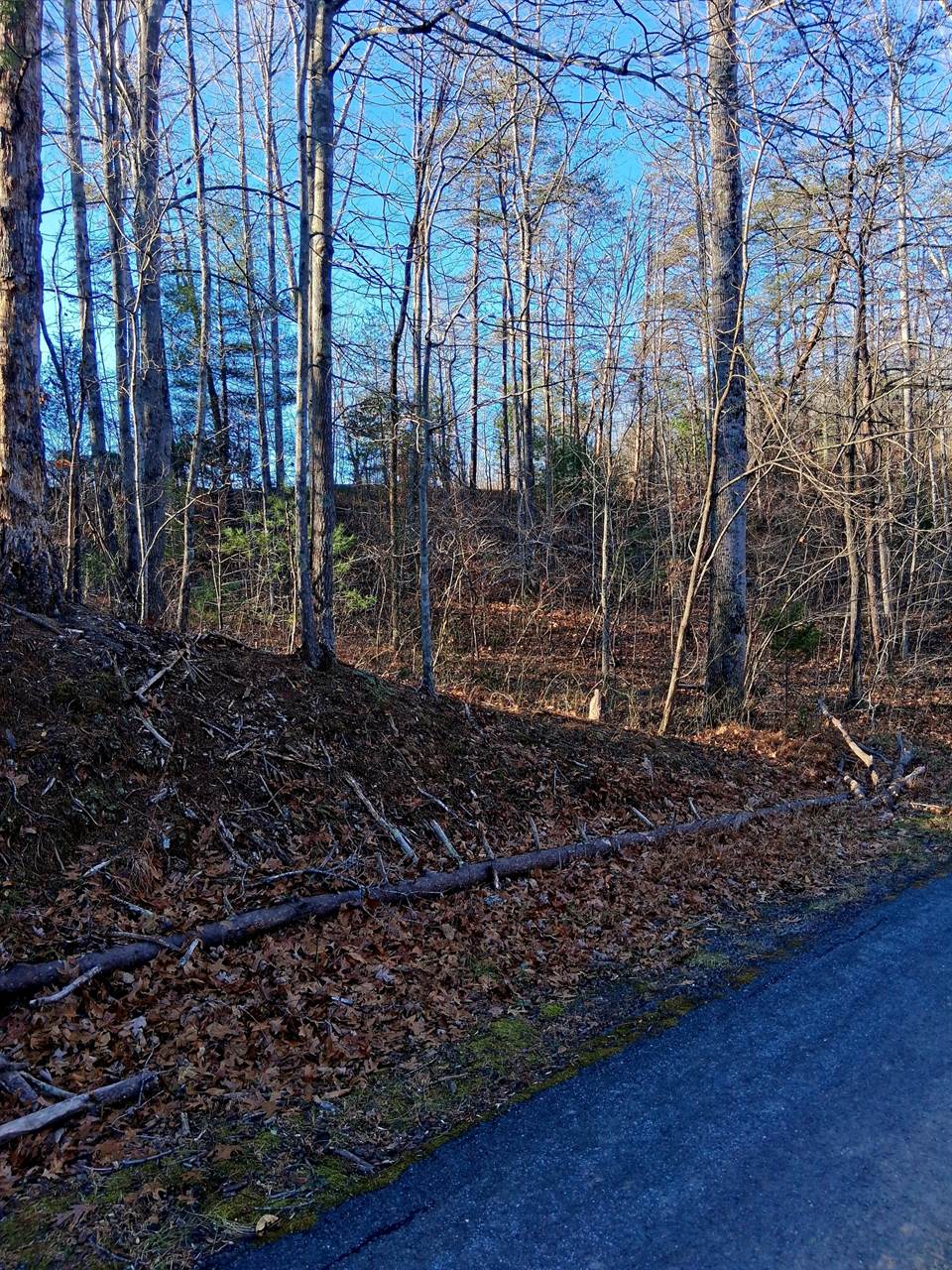 0 Peters Creek Rd, Big Island, VA 24526