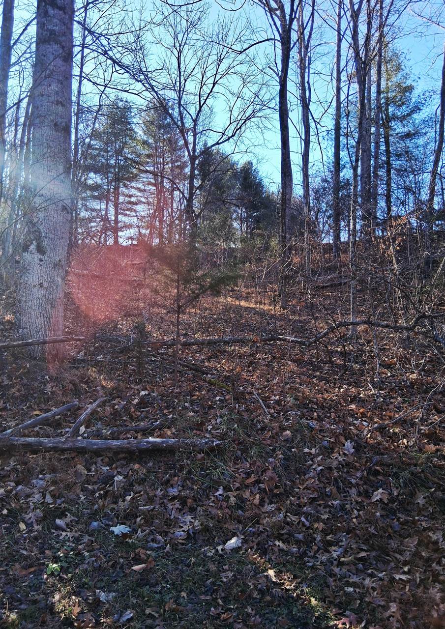 0 Peters Creek Rd, Big Island, VA 24526