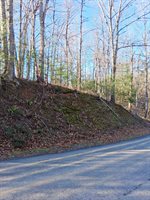 0 Peters Creek Rd, Big Island, VA 24526