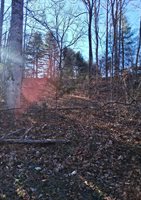 0 Peters Creek Rd, Big Island, VA 24526