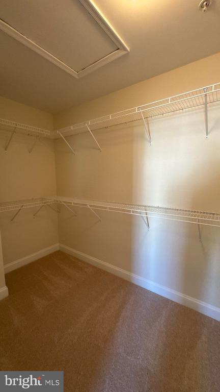 9727 June Flowers Way, Laurel, MD 20723