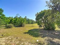 13156 Odham Street, Spring Hill, FL 34609