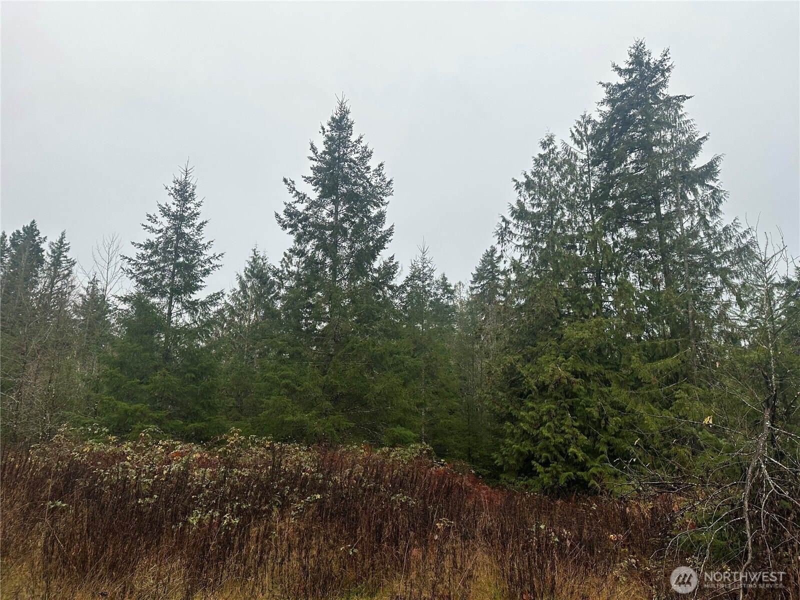 2 Concrete Sauk Valley Road, Concrete, WA 98237