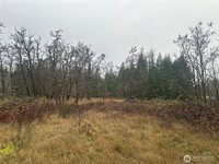 44606 Concrete Sauk Valley Road, Concrete, WA 98237