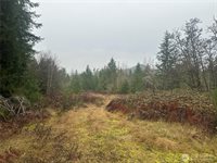 44606 Concrete Sauk Valley Road, Concrete, WA 98237