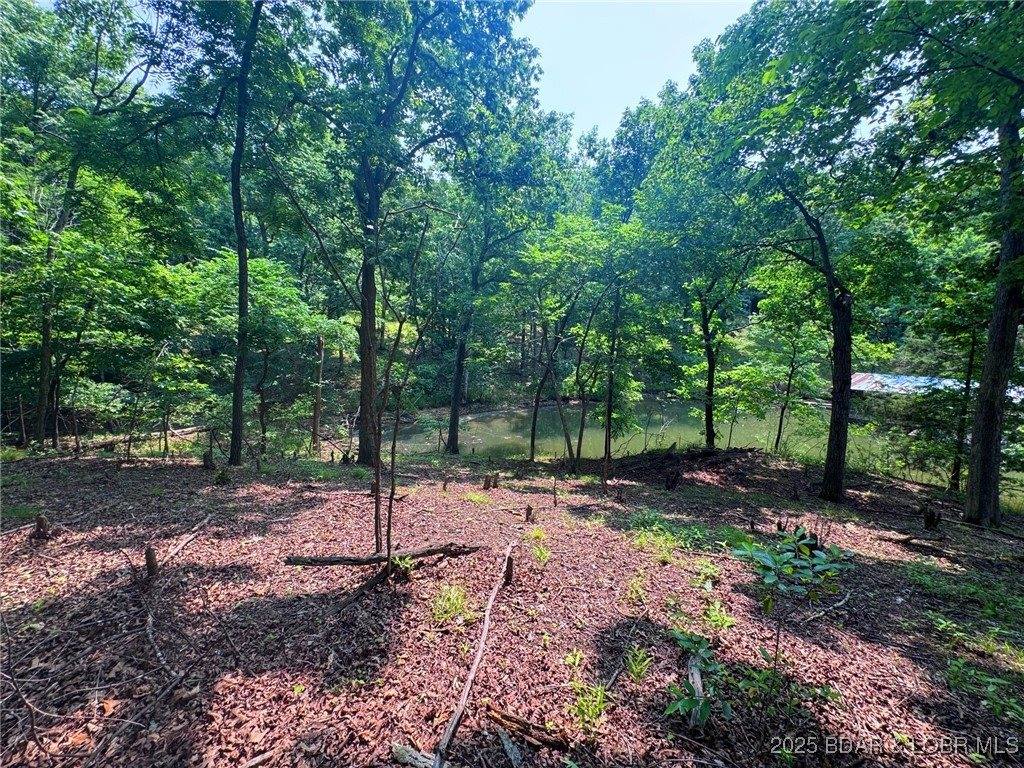 Lot 114 Blue Water Bay Drive, Sunrise Beach, MO 65079