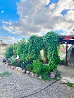 52 Horseshoe Circle, Beowawe, NV 89821
