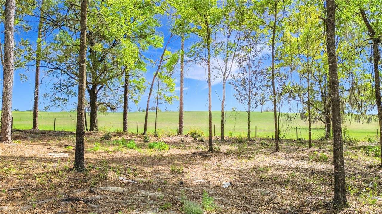 23360 SW Tiger Lake Boulevard, Dunnellon, FL 34431