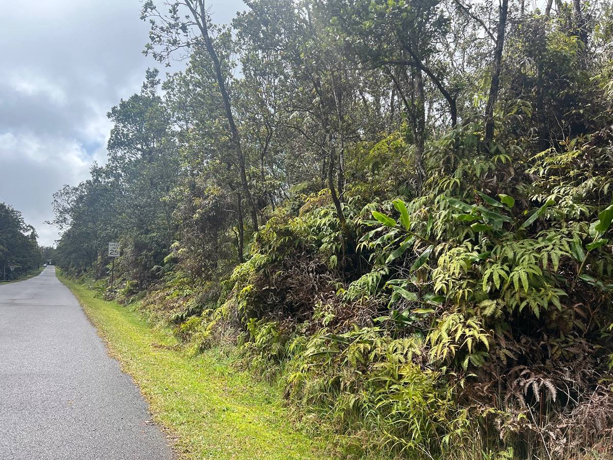 Ala Ohia St., Lot 53, Volcano, HI 96785