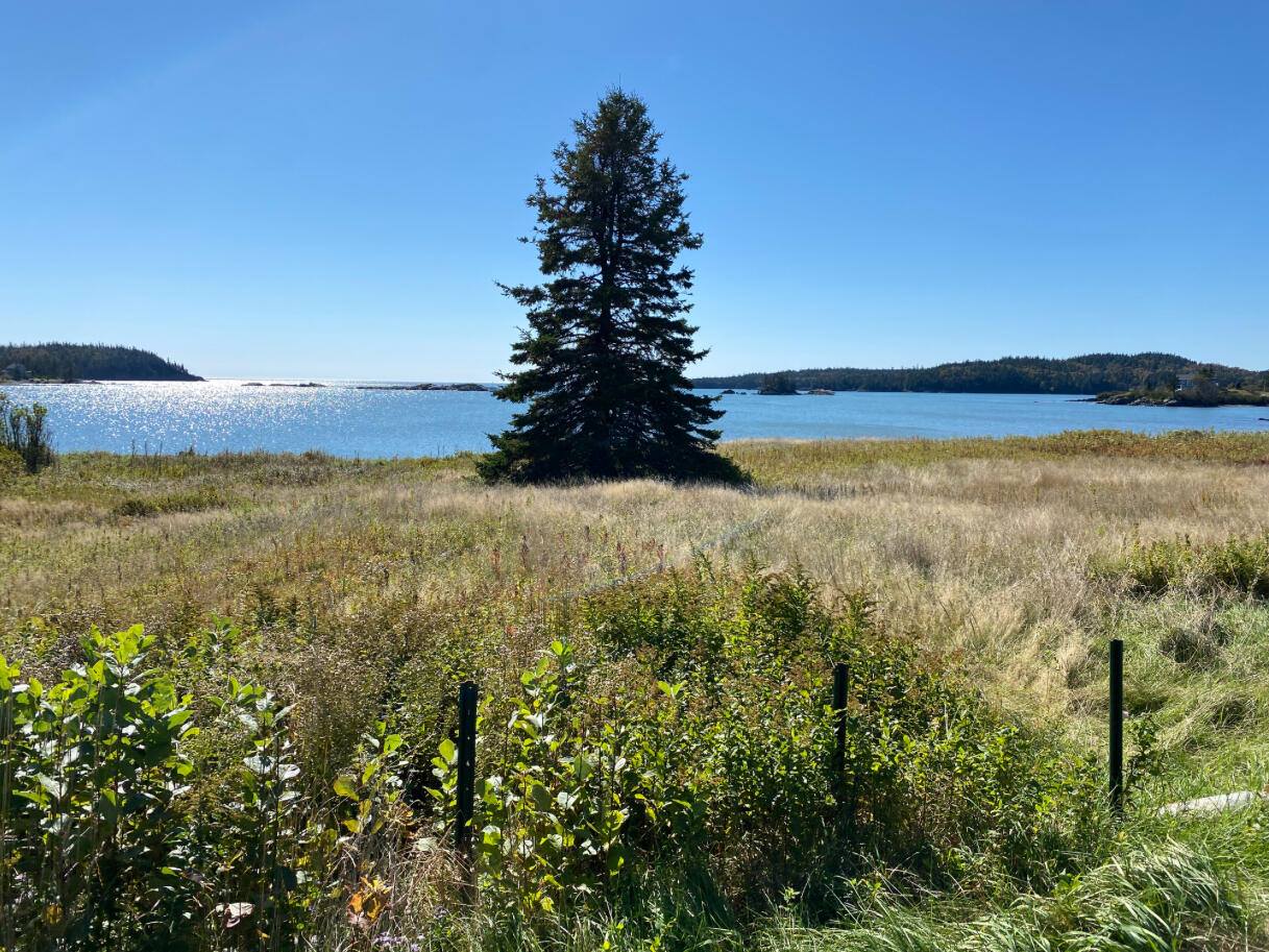 1033 Boot Cove Road, Lubec, ME 04652