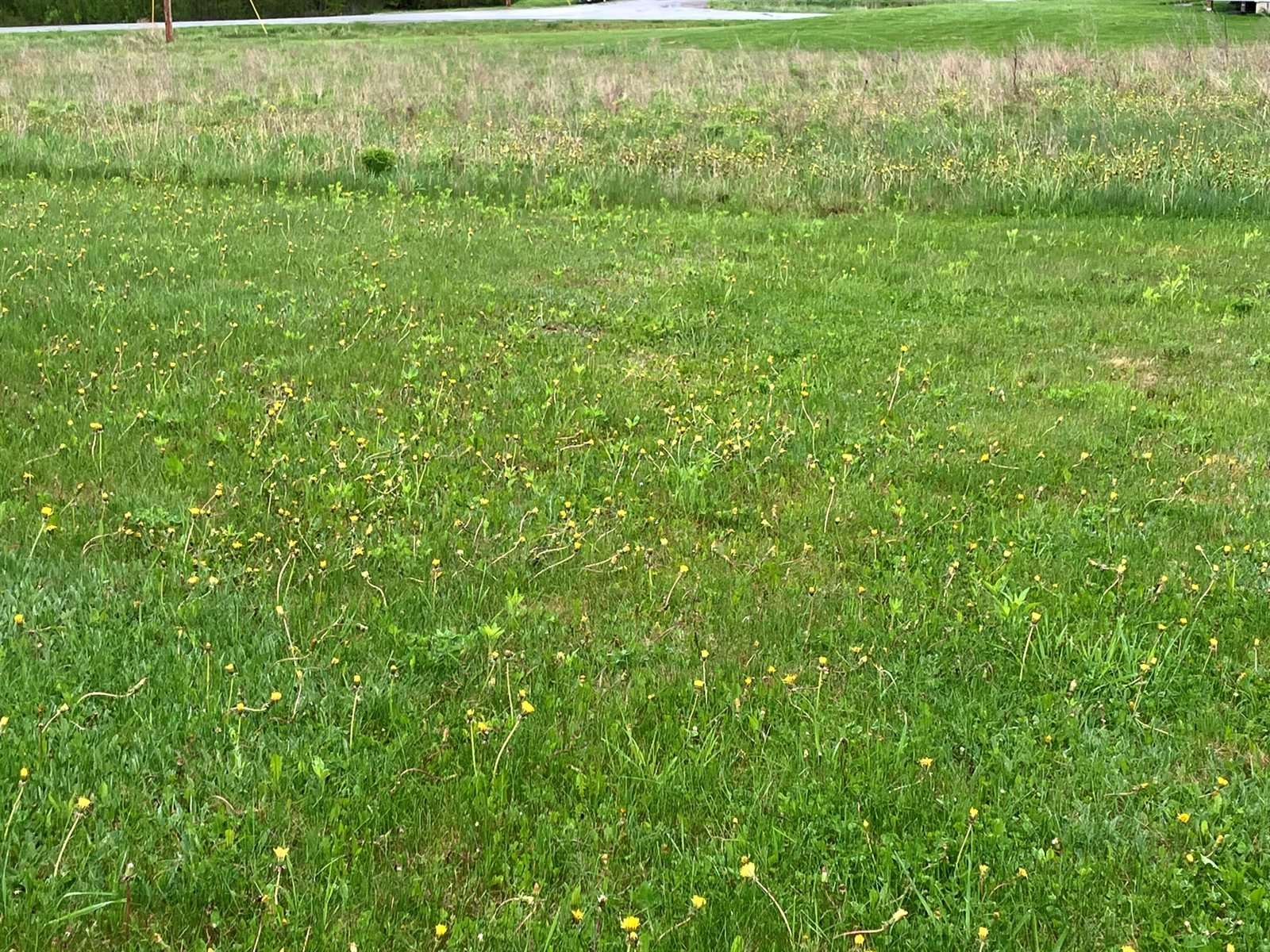 209 Edenfield Drive, Hermon, ME 04401