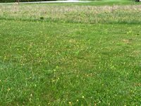 209 Edenfield Drive, Hermon, ME 04401