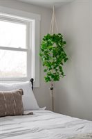 466 Essex Street, Bangor, ME 04401