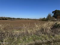 290 Cottage Lane, Church Point, LA 70525