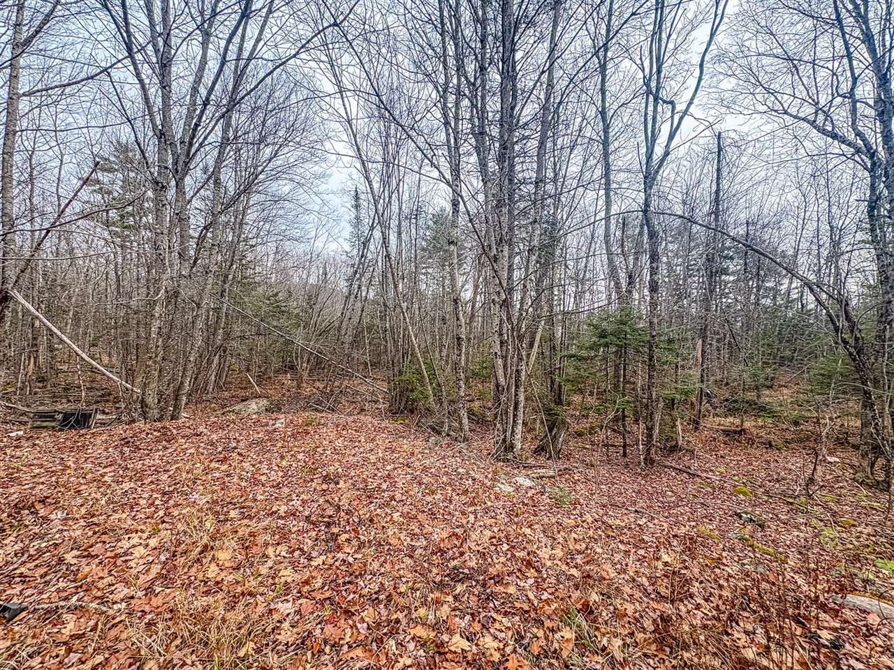 677 Millvale Road, Bucksport, ME 04416