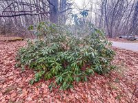 677 Millvale Road, Bucksport, ME 04416